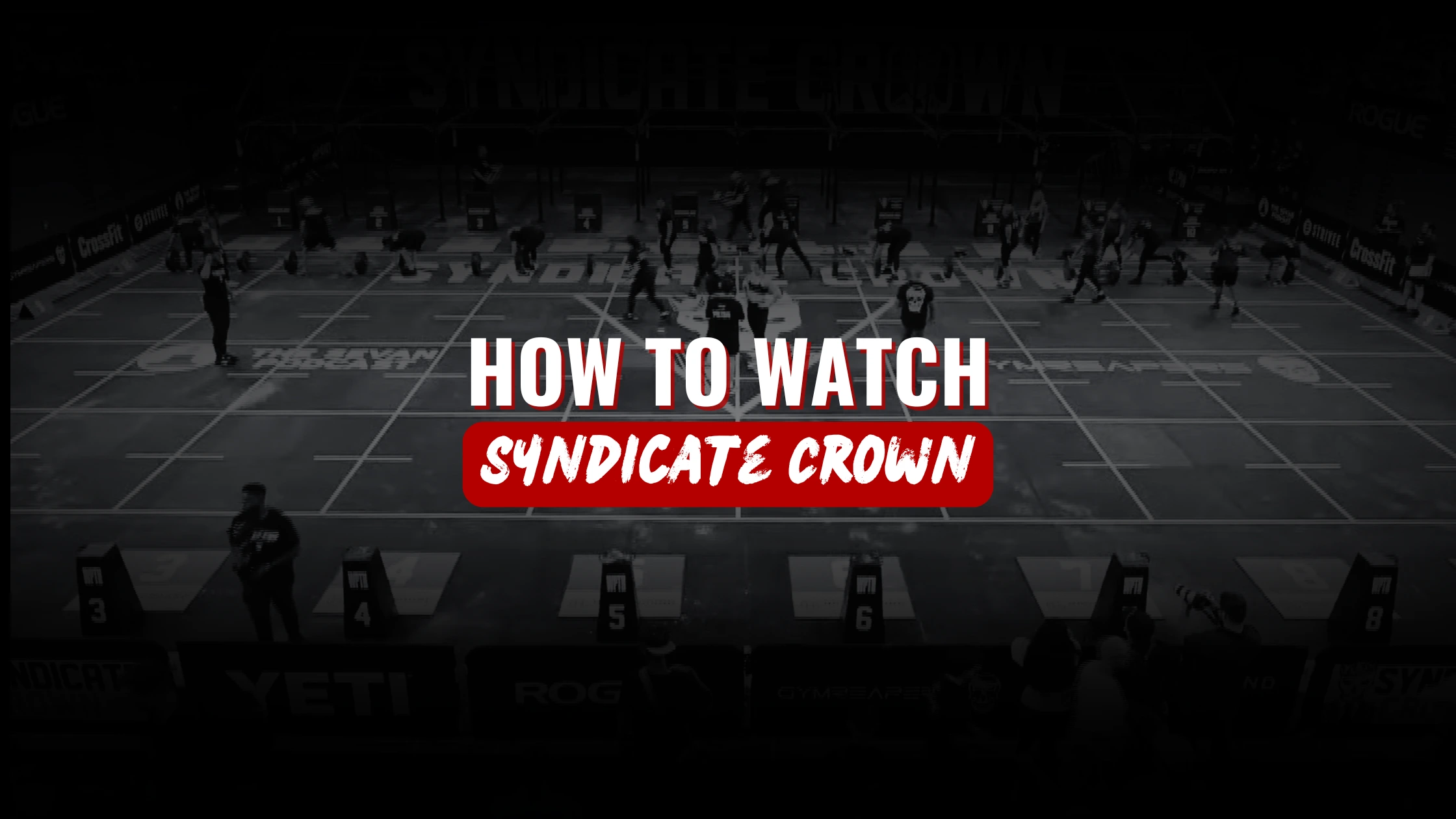 How to Watch Syndicate Crown 2025 Live