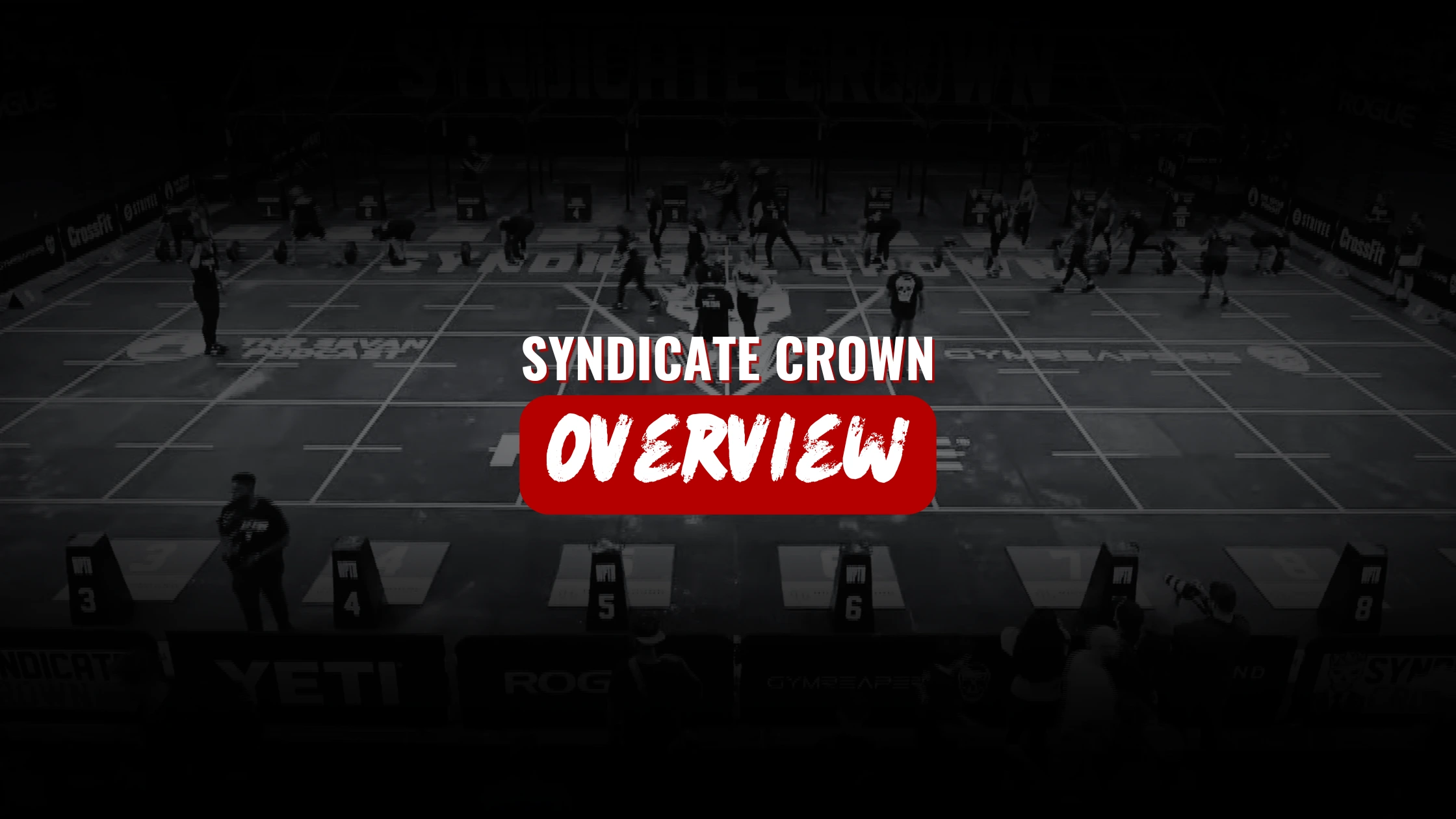 Syndicate Crown 2025: Everything You Need To Know